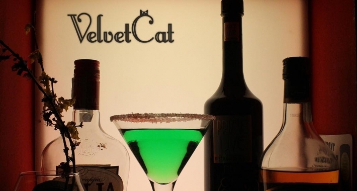 Velvet Cat