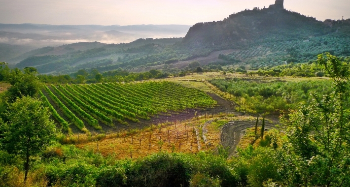 Castiglione d'Orcia