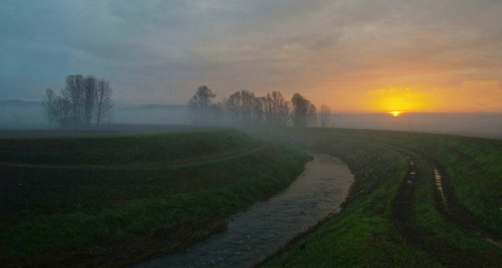 Padule di Fucecchio all'alba