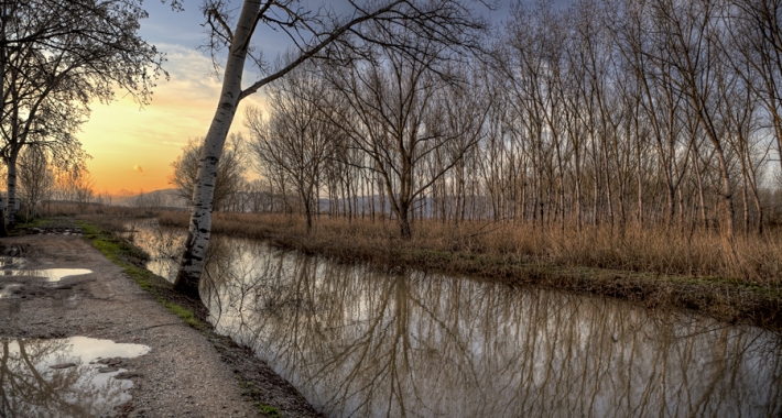 Tramonto al Padule di Fucecchio