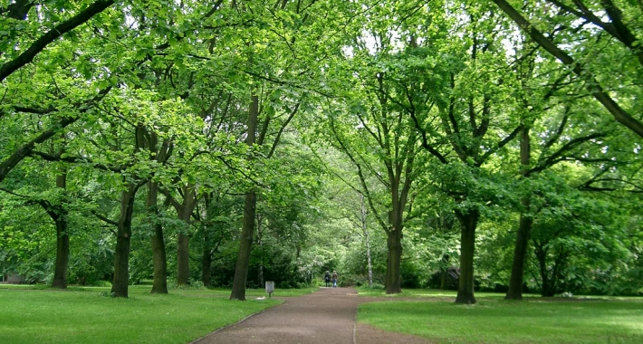 Tiergarten, Berlino