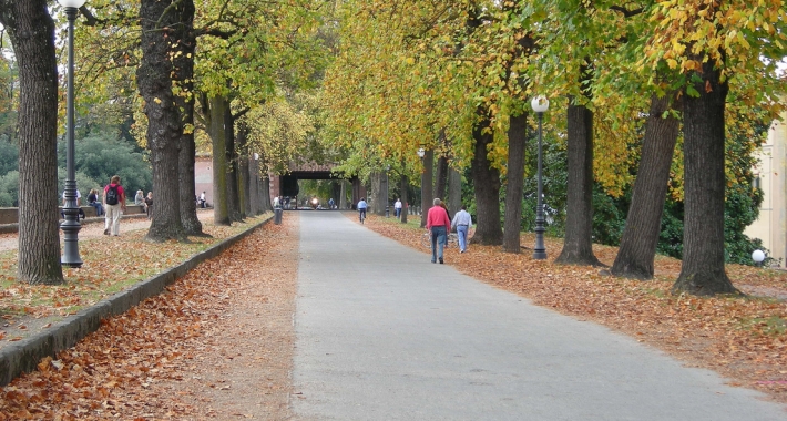 Sulle mura di lucca