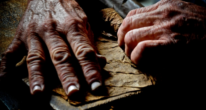 Torcedor mentre crea un sigaro cubano