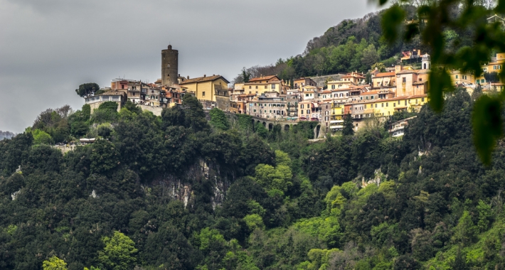 Nemi vista dal lago