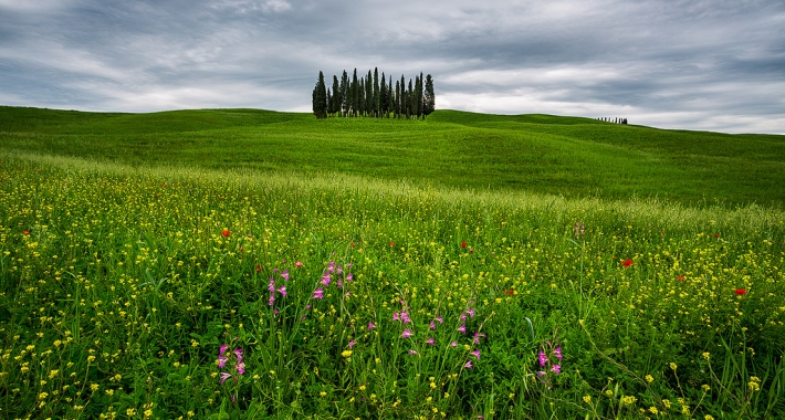 San Quirico d'Orcia