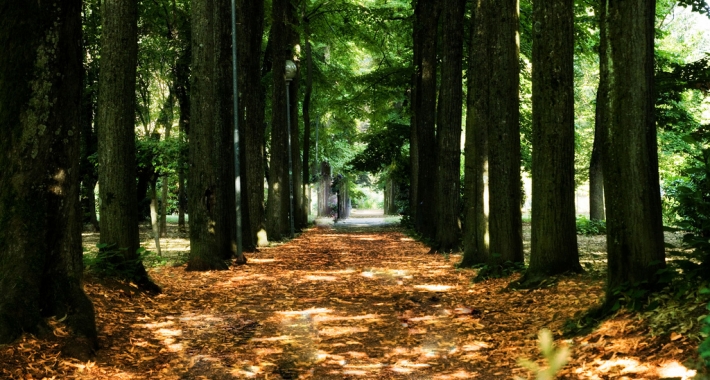 Il parco di Salice Terme