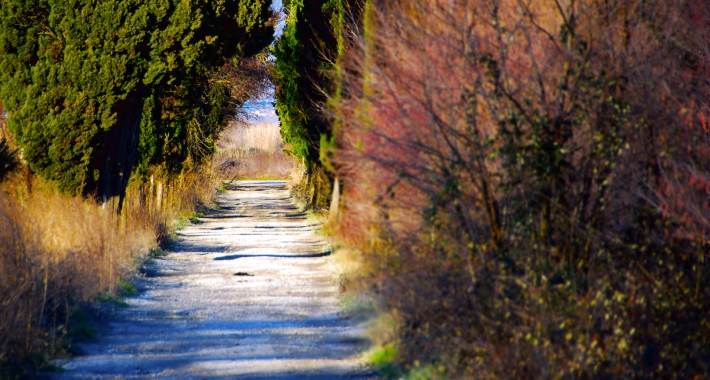 Autunno a Capannori - Lucca