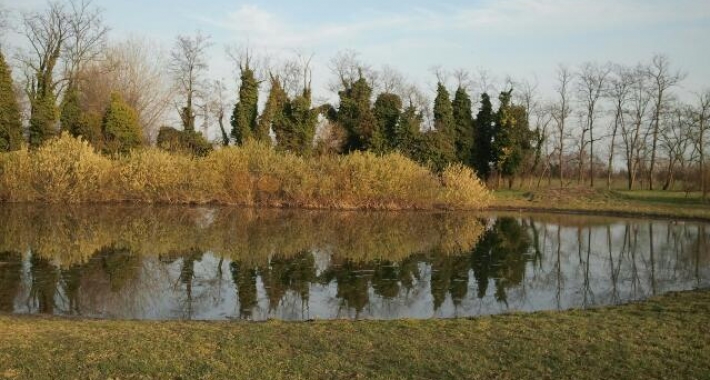 Parco della Besozza