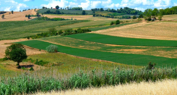 Paesaggio naif