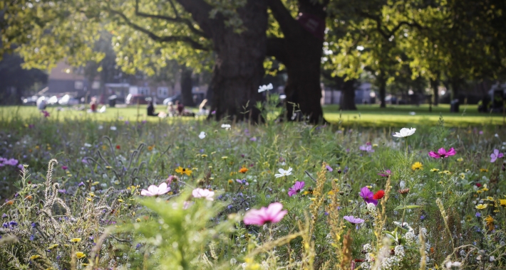 London Fields, Londra