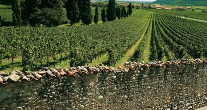 Franciacorta