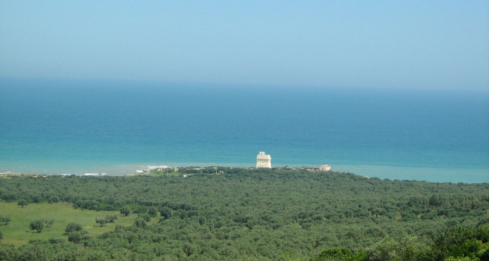 Lido di Torre Mileto