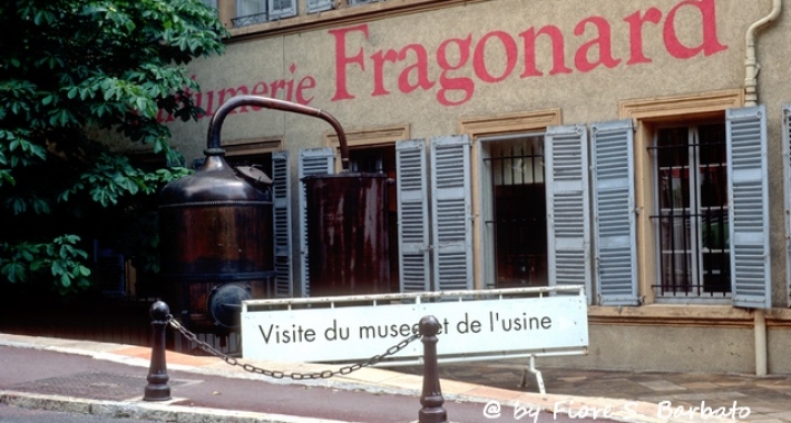  Profumeria Fragonard 