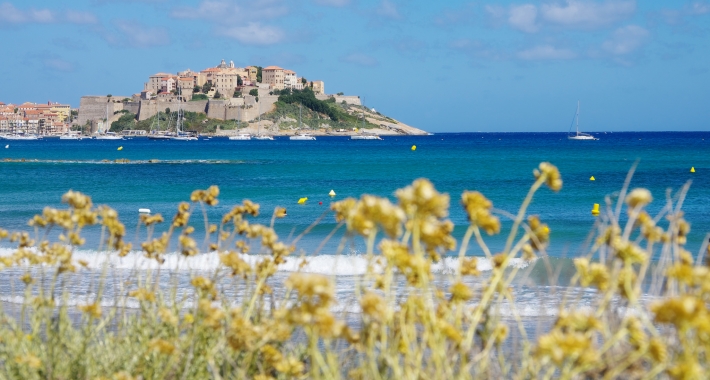 Calvi