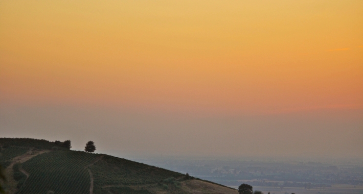 Colline dell'Oltrepò Pavese