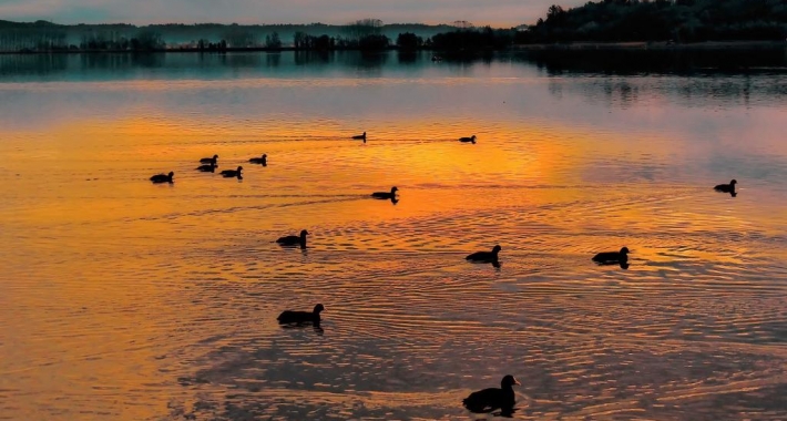 Parco del Lago di Candia