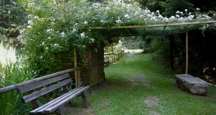 Giardino Alpino di Pietra Corva