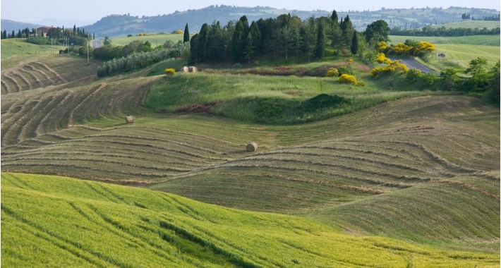 Colline Pienza