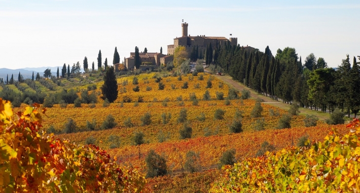 Castello Banfi Il Borgo