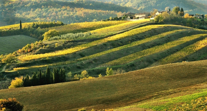 Colline di Gaiole in Chianti