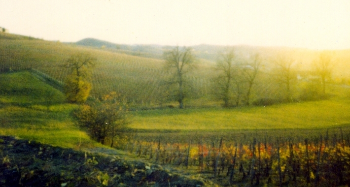 Colline di Cuneo, Langhe