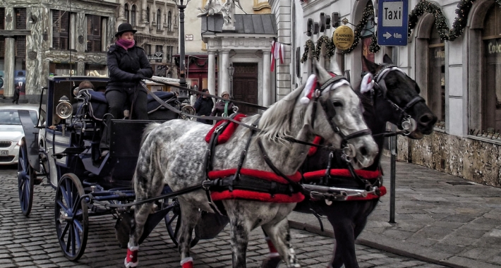 Carrozza di cavalli. Vienna