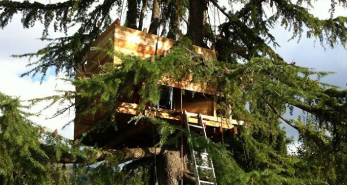 Casa sull'albero Tree-sleeping