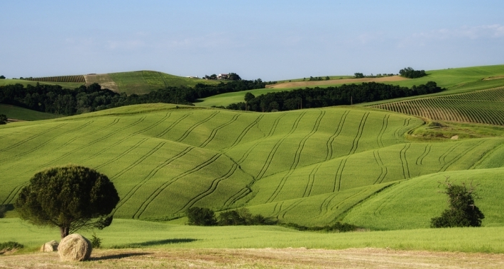 La Maremma