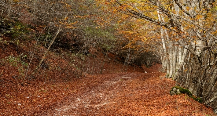 Autunno ad Ovindoli