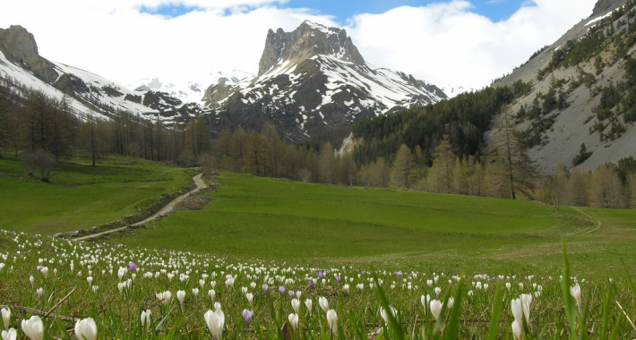 Valle Stretta - Bardonecchia