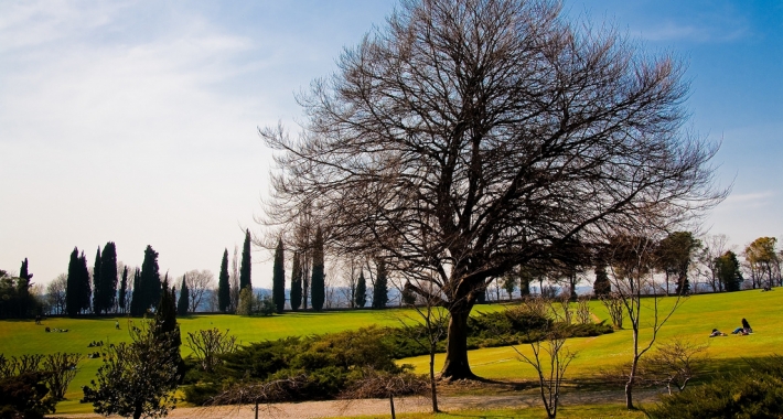 Parco Giardino Sigurtà