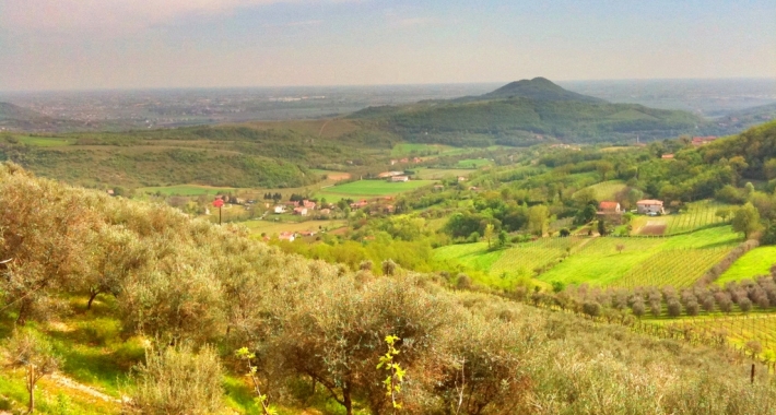 Colli Euganei, Veneto