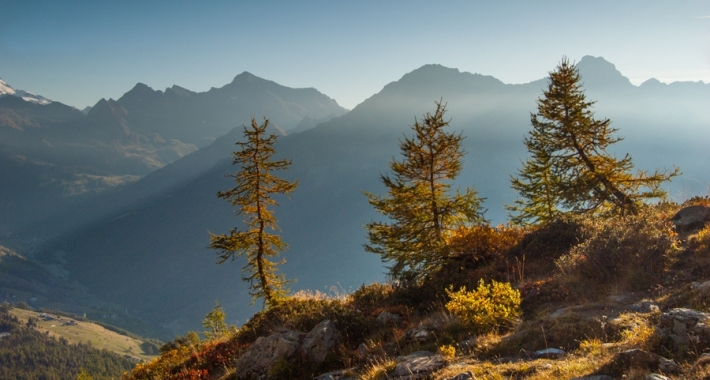 Un tocco d'autunno, Valle d'Ayas, Valle d'Aosta