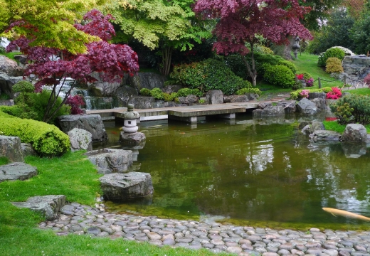Kyoto Gardens, Holland Park, Londra